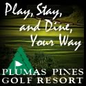 agle.com/plumaspines/promos/playstay/index.html