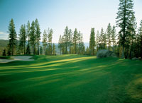 GolfTahoe.com - Coyote Moon